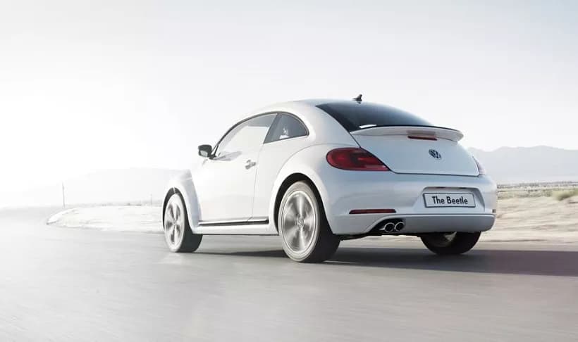 Beetle