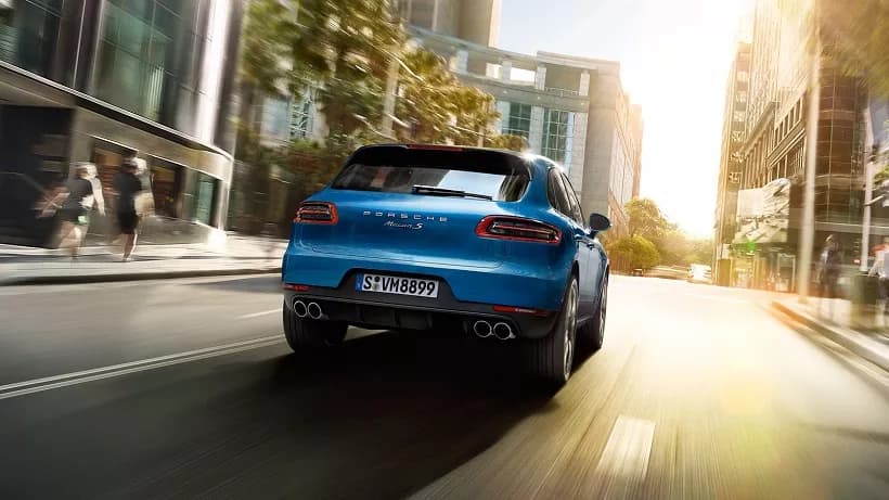 Macan