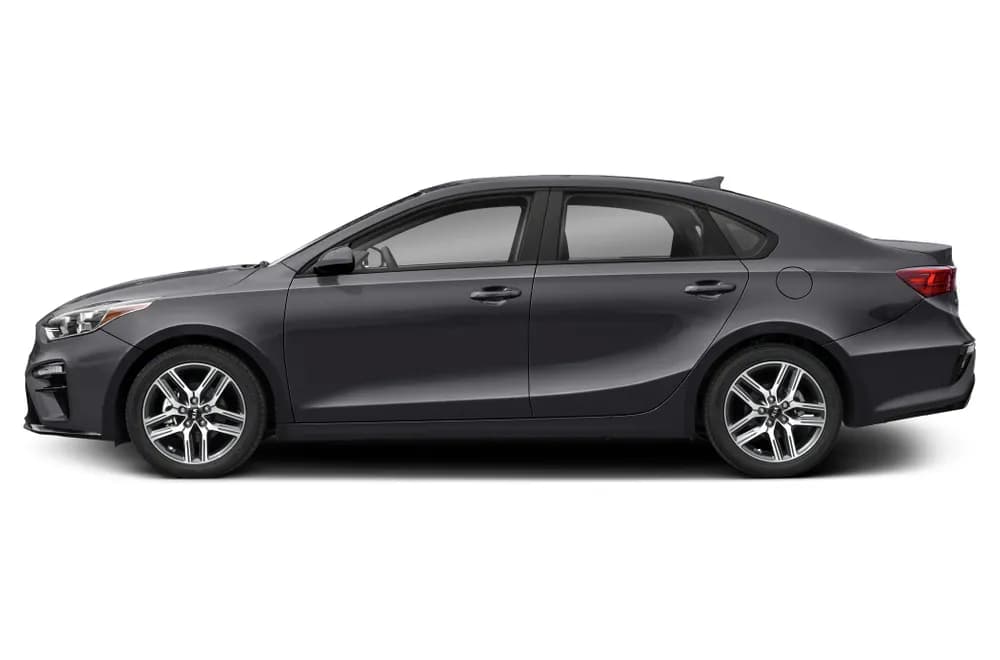 Cerato