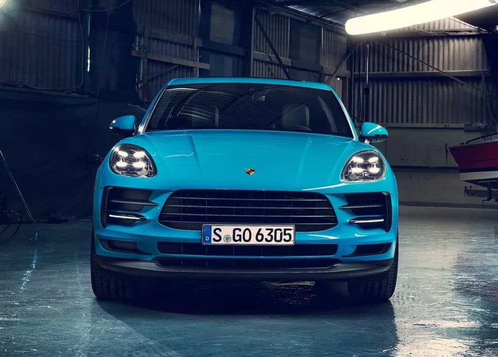 Macan