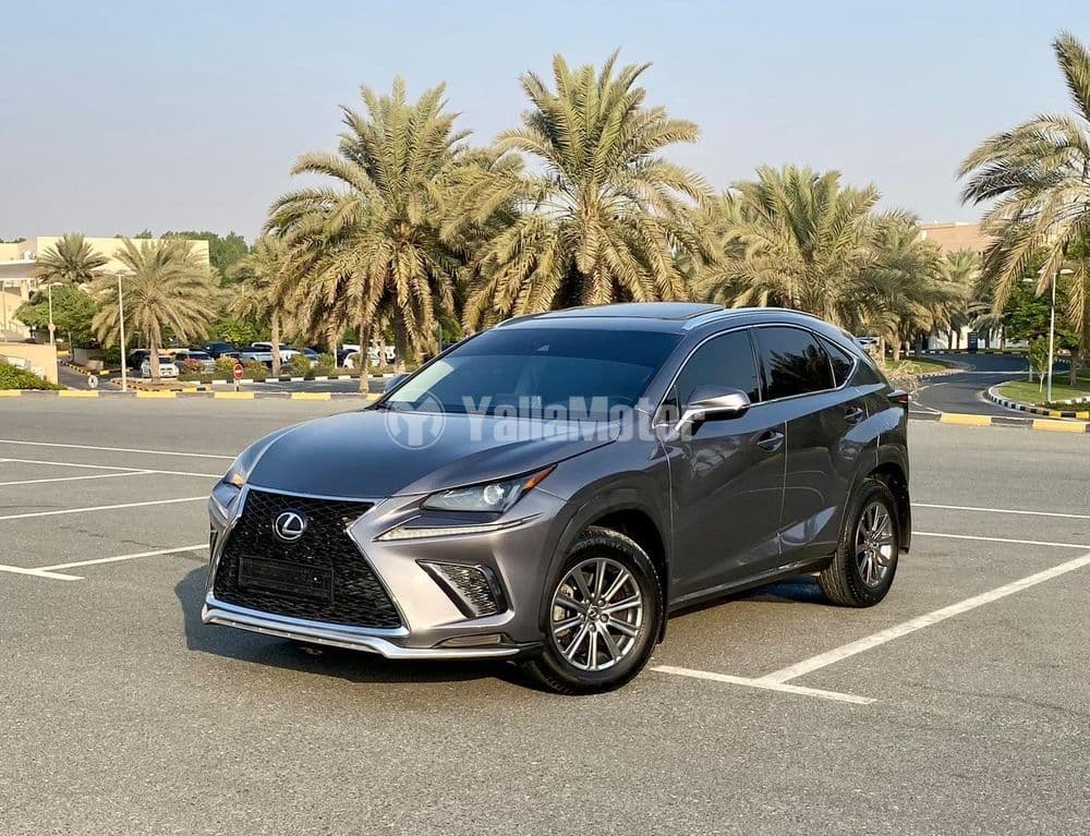 Used Lexus NX 300 Platinum 2018