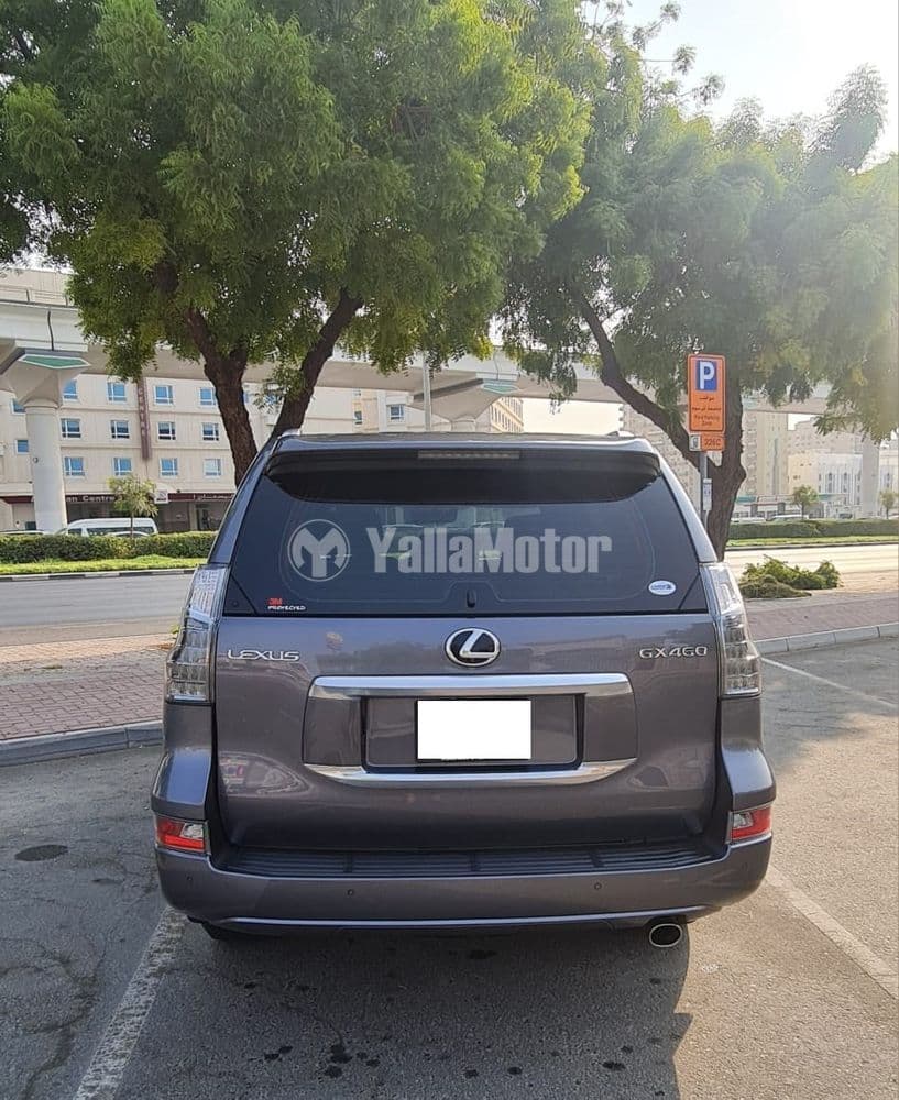 Used Lexus GX 460 4.6 2023