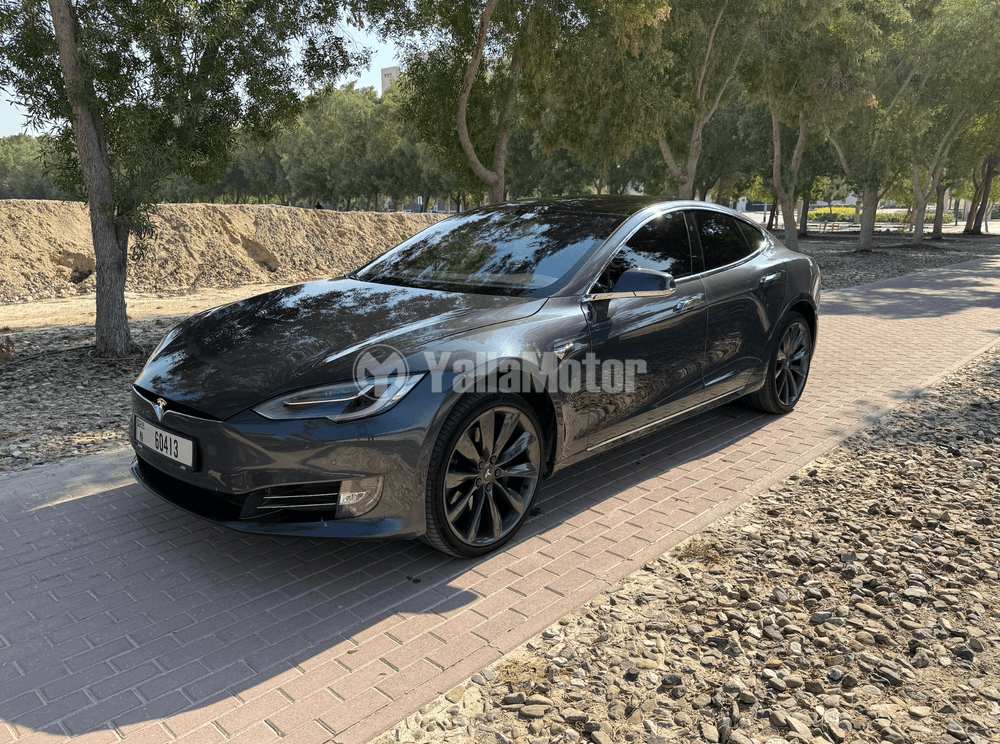 Used Tesla Model S 100D 2019