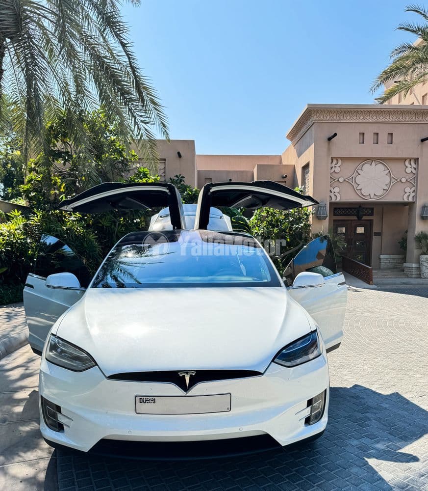 Used Tesla Model X Performance AWD 2019