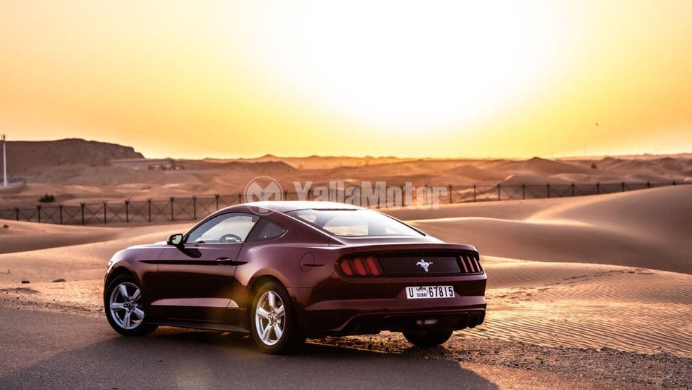 مستعملة فورد موستانج 3.7L كوبيه 2016