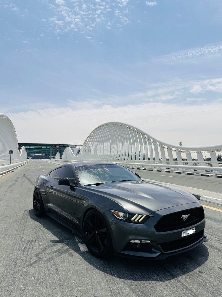 Used Ford Mustang 2.3L EcoBoost Fastback Premium 2016