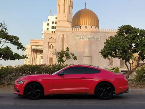 Used Ford Mustang 2.3L EcoBoost Coupe 2016 Used Ford Mustang 2.3L EcoBoost Coupe 2016 used_cars.forSale