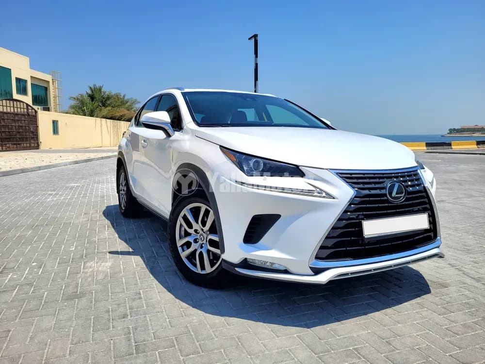 Used Lexus NX 300 Premier 2019