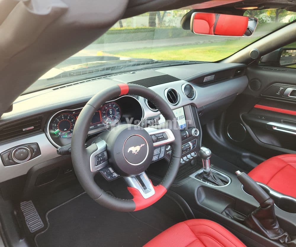 فورد موستانج 2.3L إيكوبووست مكشوفة 2023 مستعملة