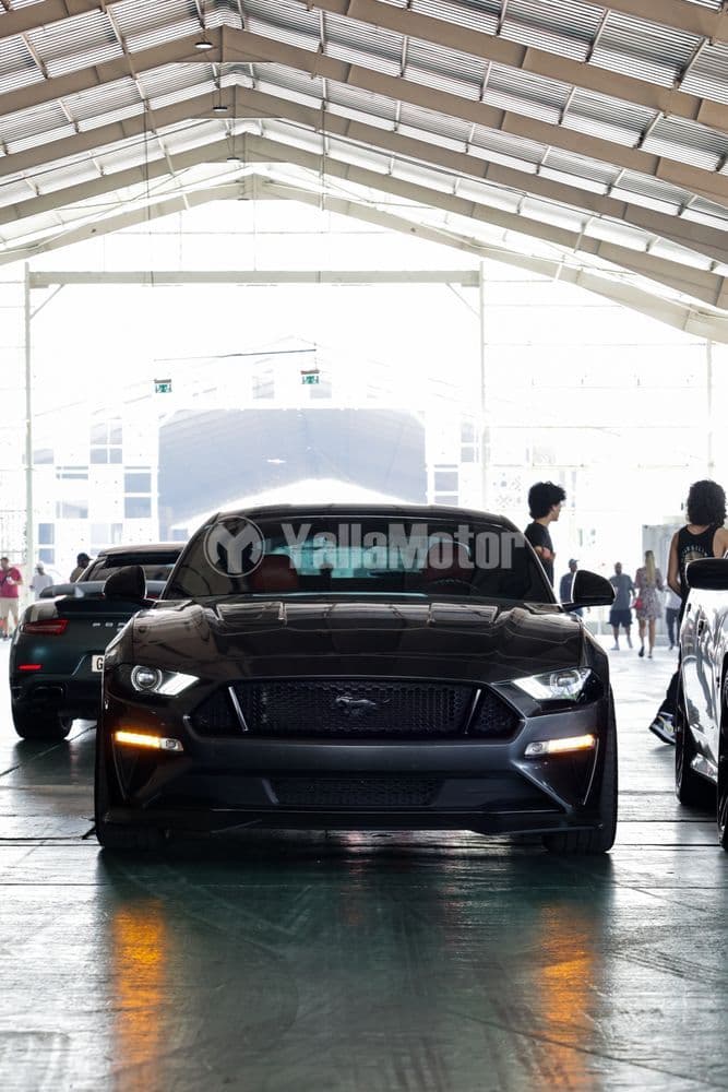 Used Ford Mustang 5.0L 2019