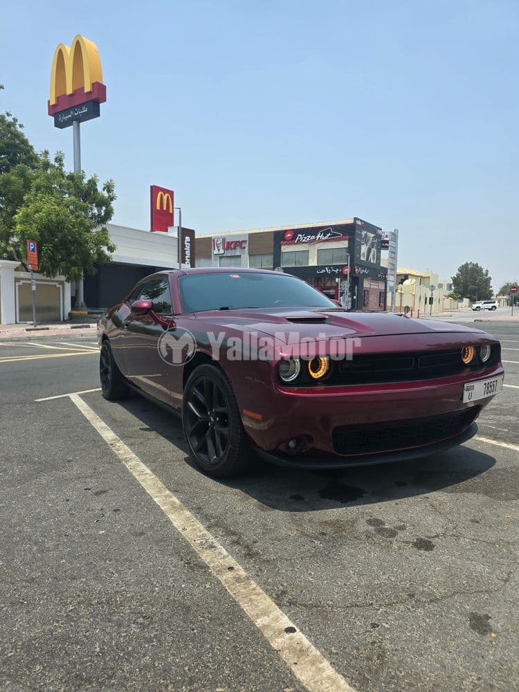 Used Dodge Challenger 3.6L SXT 2019