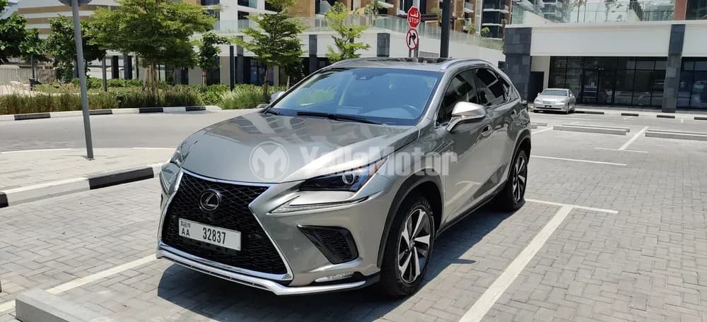 Used Lexus NX 300 Excellence 2019