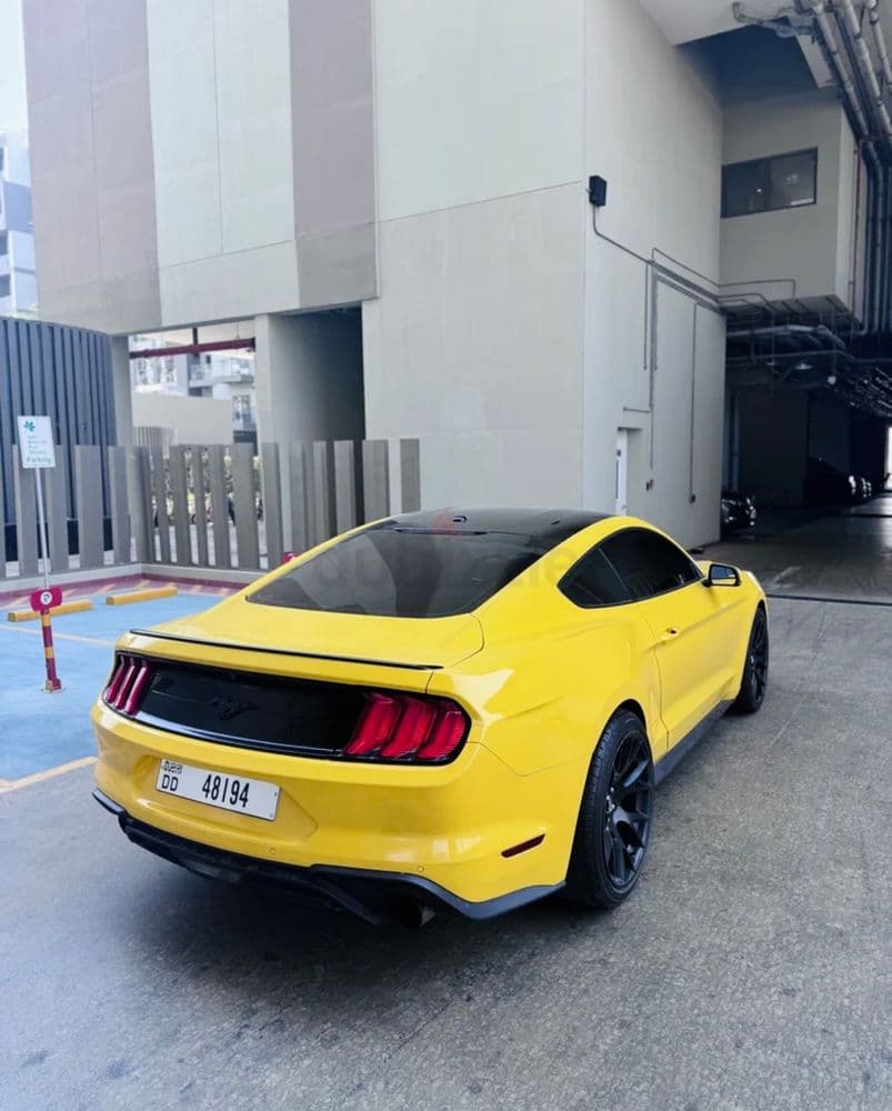 Used Ford Mustang 2.3L EcoBoost Fastback Premium 2018