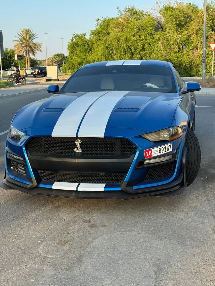 Used Ford Mustang 2.3L EcoBoost Coupe 2021