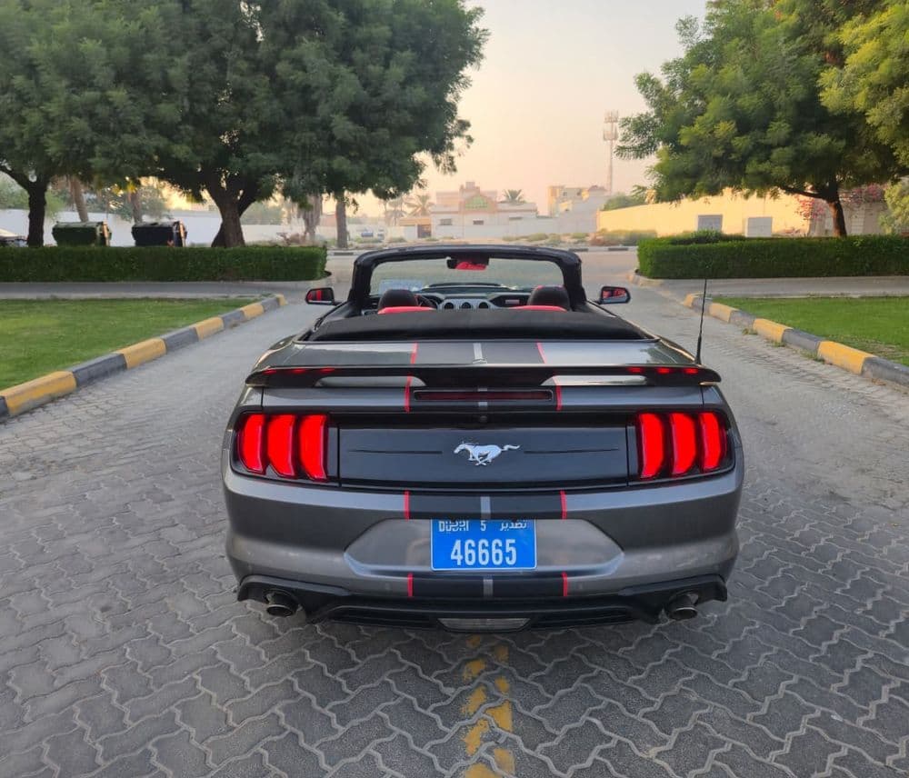 Used Ford Mustang 2023