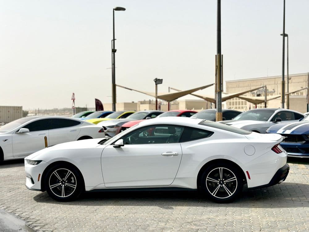 Used Ford Mustang 2.3L EcoBoost Fastback Premium 2024