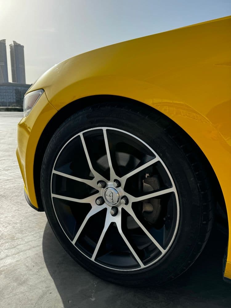 Used Ford Mustang Coupe 2016