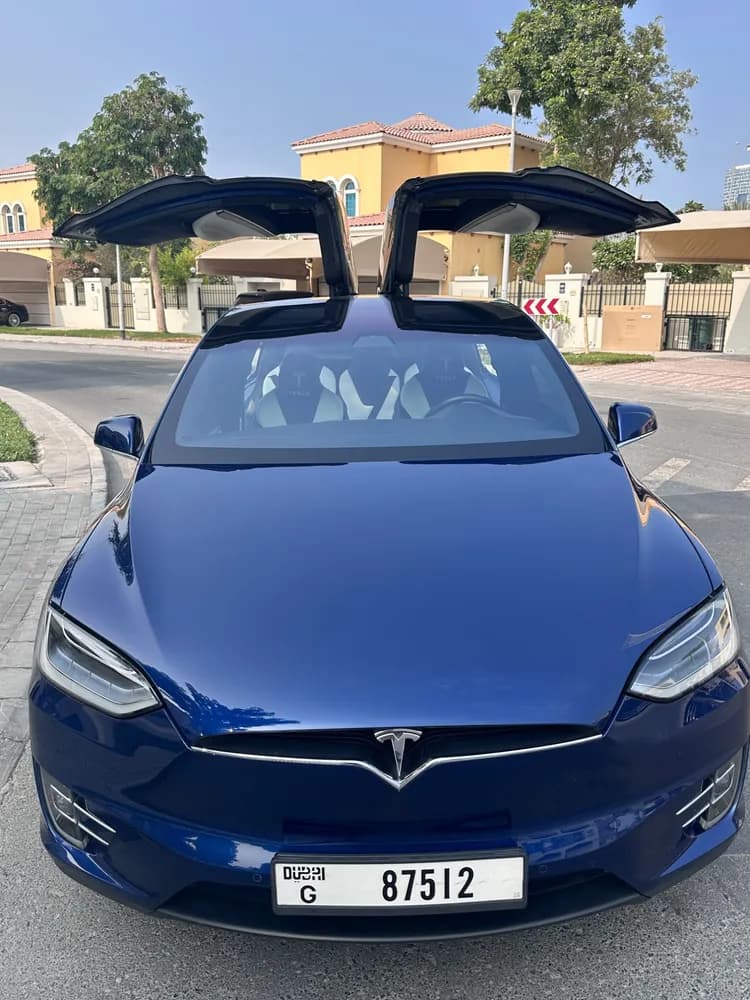 Used Tesla Model X P100D 2017