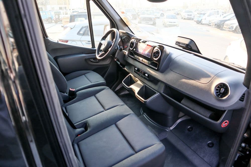 New Mercedes-Benz Sprinter VIP Business Van 2025