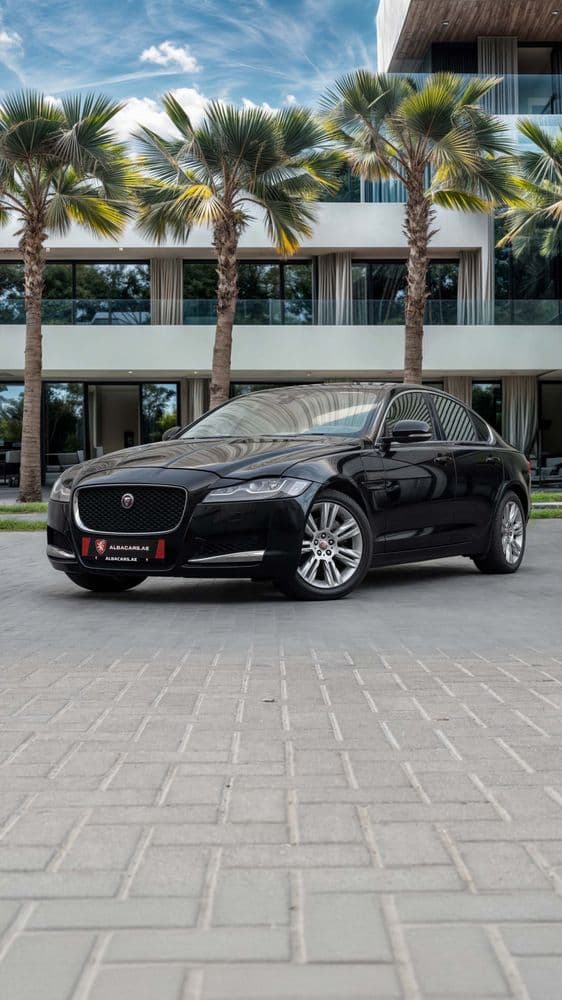 جاكوار إكس إف 2019 مستعملة