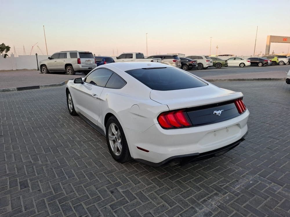 مستعملة فورد موستانج 2.3L إيكوبووست كوبيه 2020