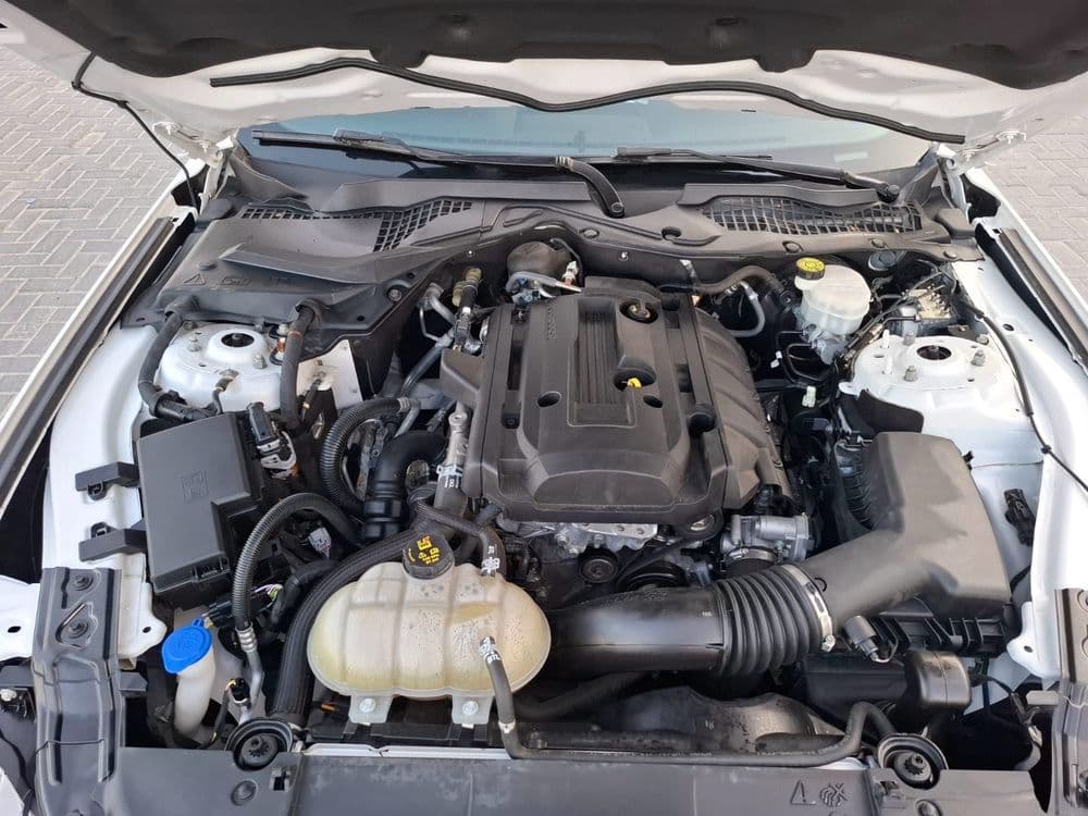 مستعملة فورد موستانج 2.3L إيكوبووست كوبيه 2020