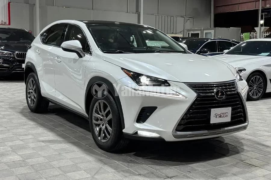 Used Lexus NX 300 Elegant 2020