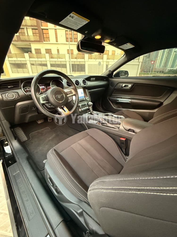 Used Ford Mustang 2.3L EcoBoost Coupe 2023