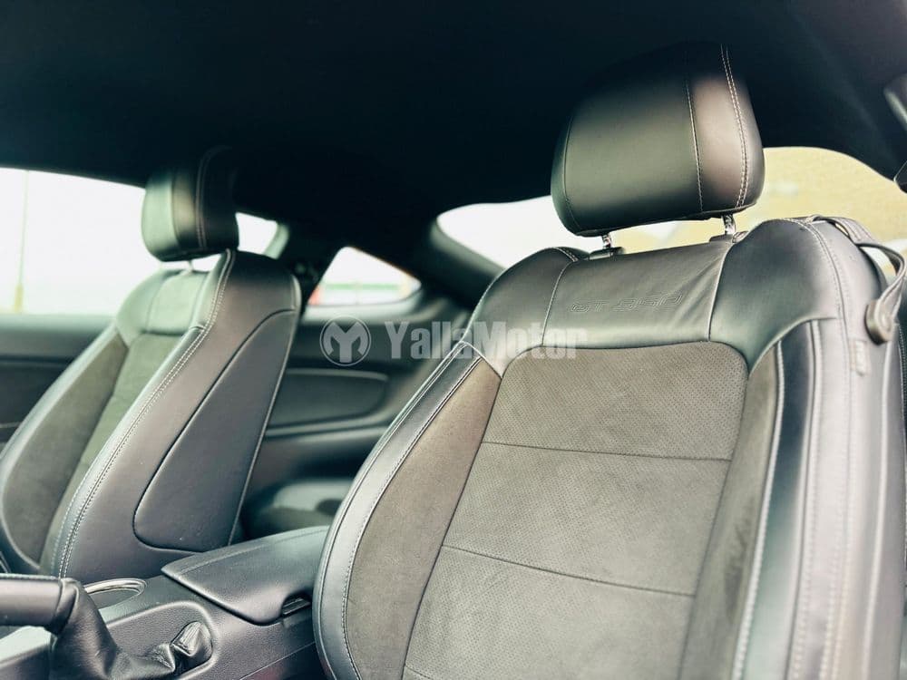 مستعملة فورد موستانج 5.2l Shelby GT350 2017