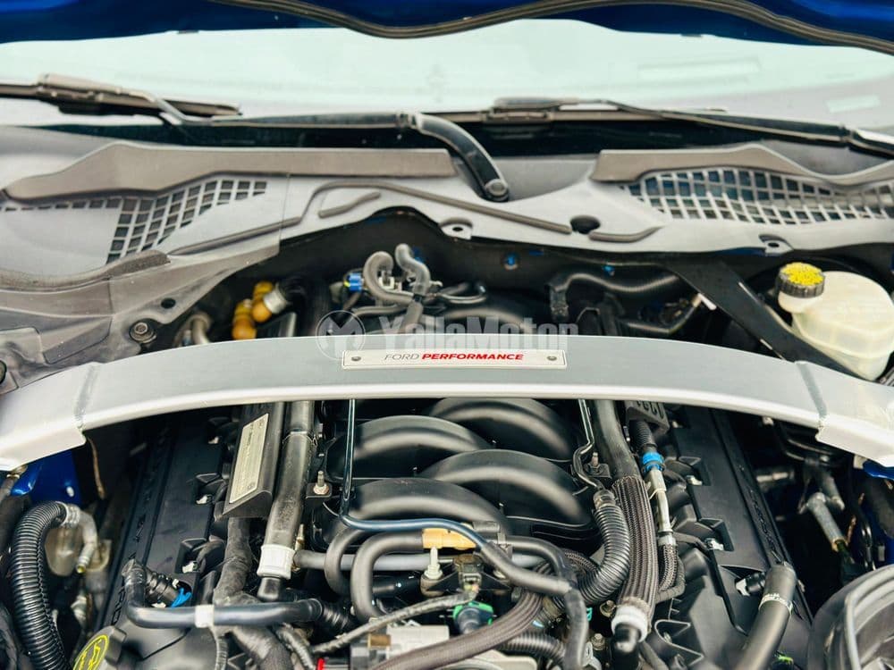 مستعملة فورد موستانج 5.2l Shelby GT350 2017