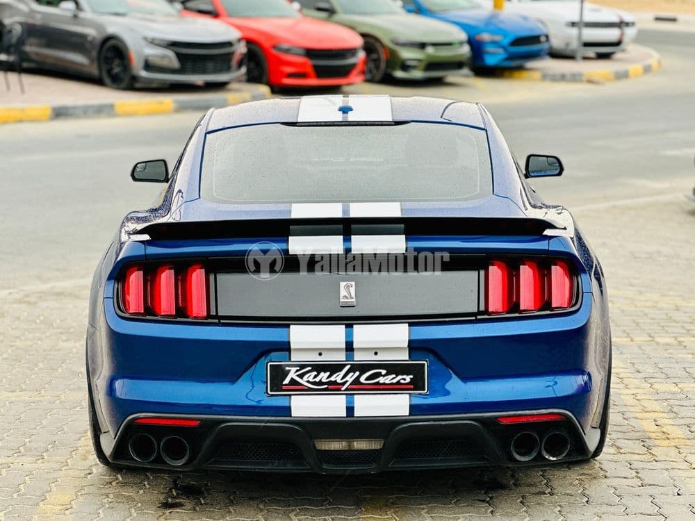 مستعملة فورد موستانج 5.2l Shelby GT350 2017