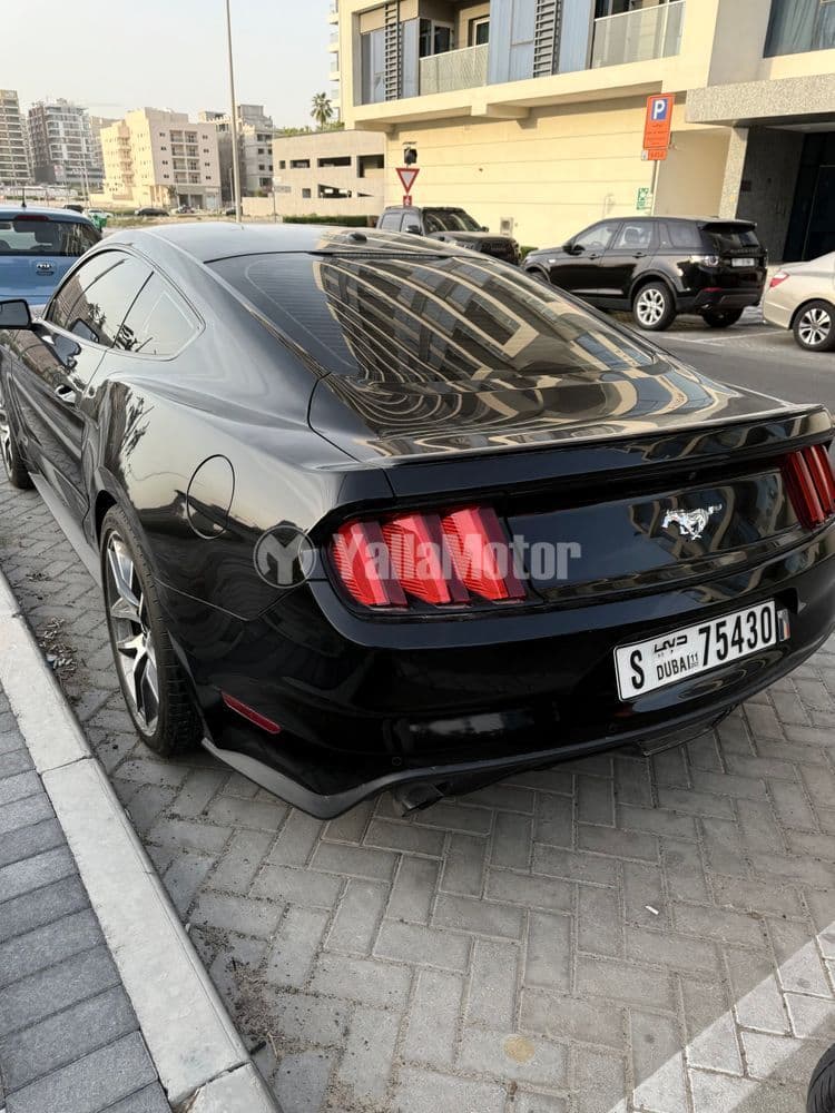 مستعملة فورد موستانج 2.3L إيكوبووست كوبيه 2017