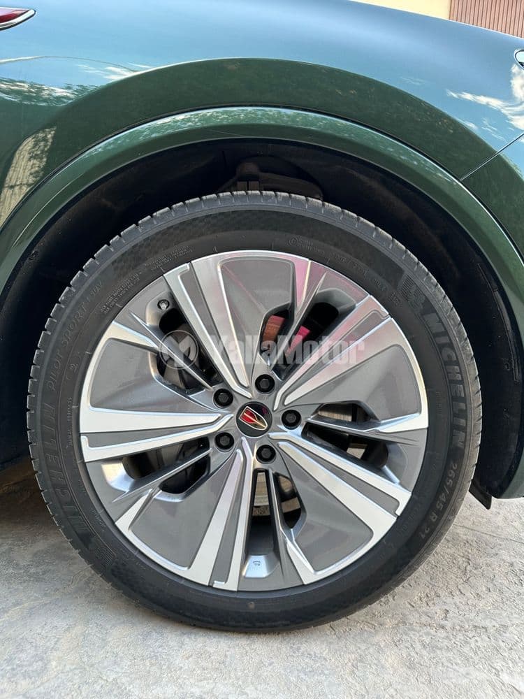 Used Hongqi E-HS9 Deluxe 6 Seats 2023