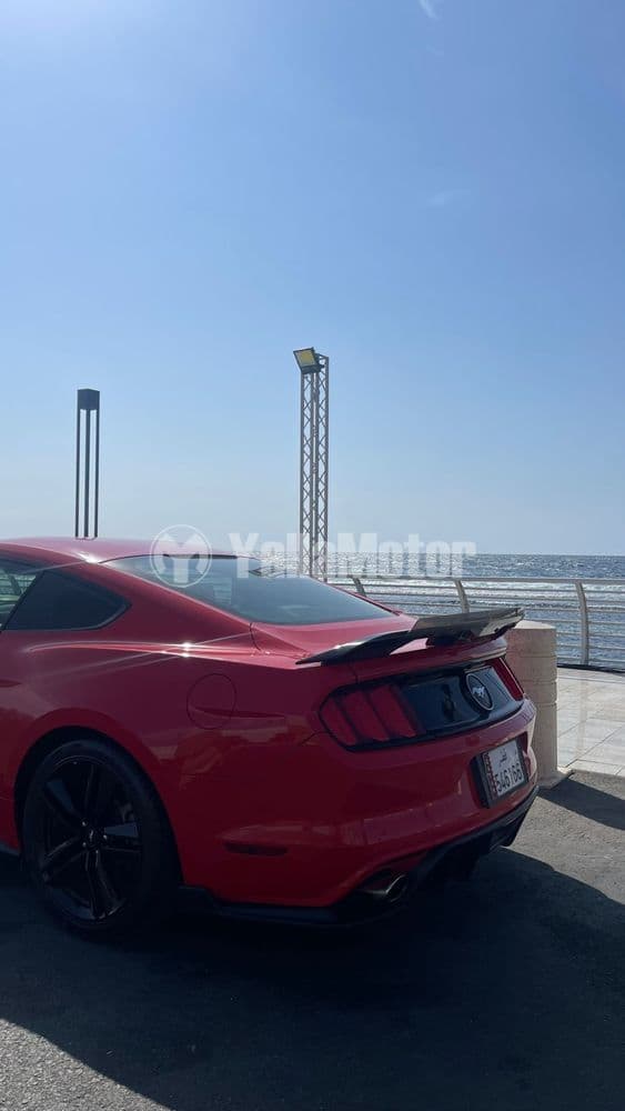 Used Ford Mustang 2.3L EcoBoost Coupe 2016