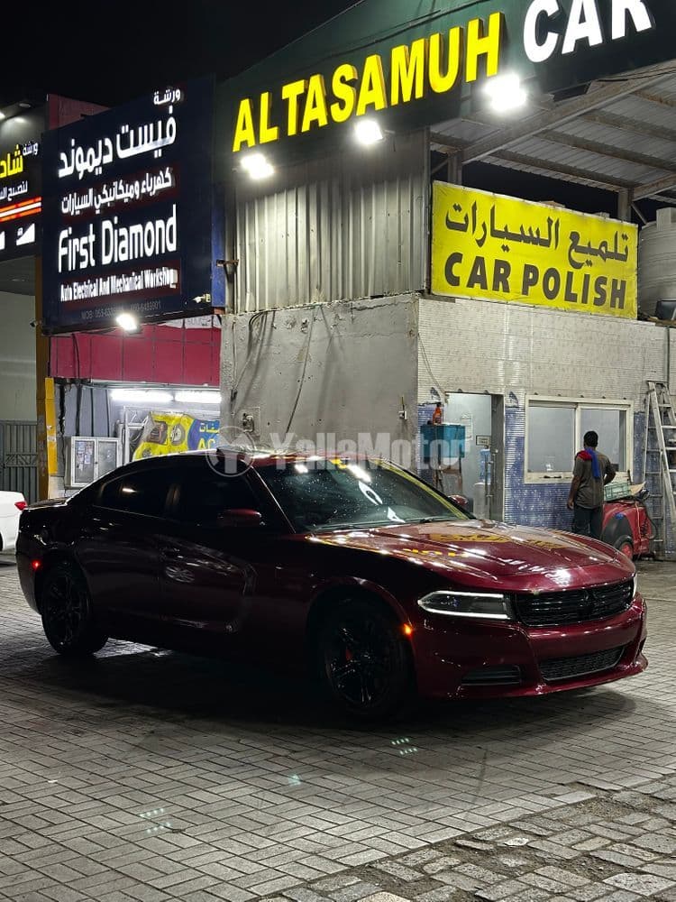 Used Dodge Charger 3.6L SXT (Base) 2019