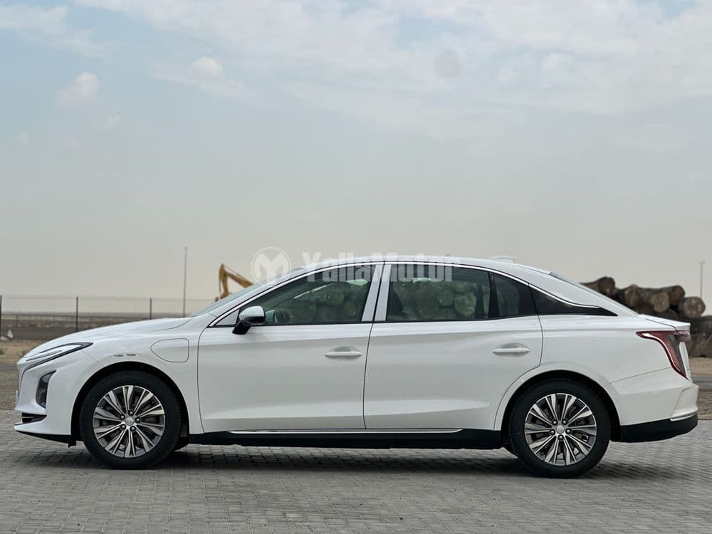 New Hongqi E-QM5 Luxury 2024