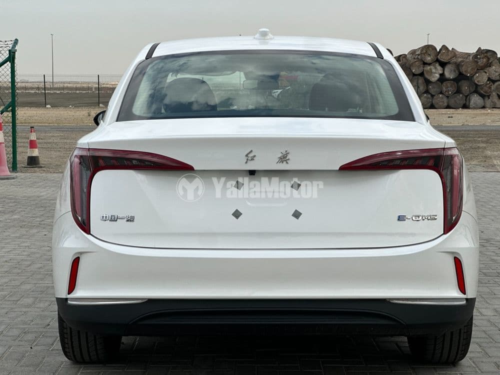 New Hongqi E-QM5 Luxury 2024