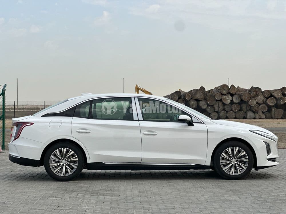 New Hongqi E-QM5 Luxury 2024