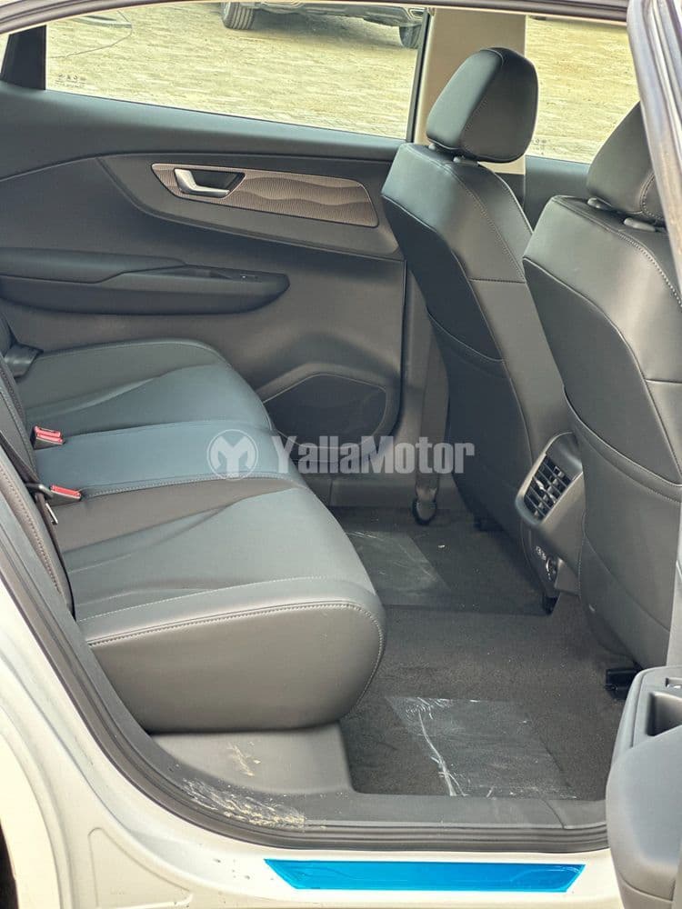 New Hongqi E-QM5 Luxury 2024