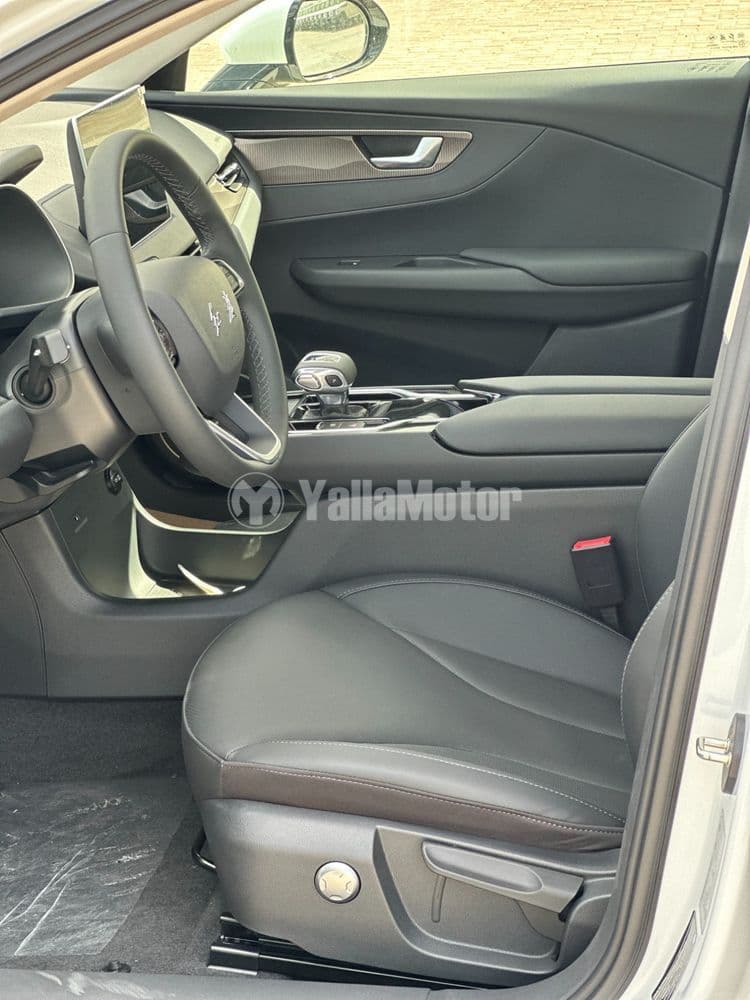 New Hongqi E-QM5 Luxury 2024