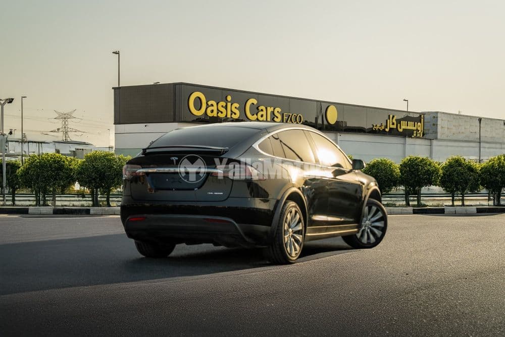Used Tesla Model X 100D 2019