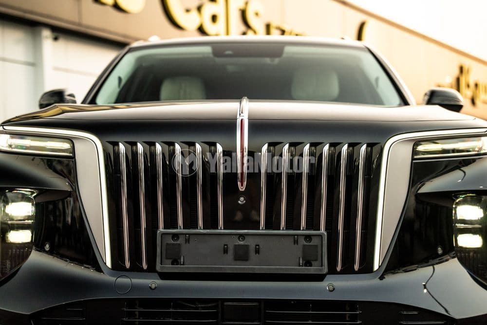 مستعملة هونشي E-HS9 Deluxe 6 Seats 2022