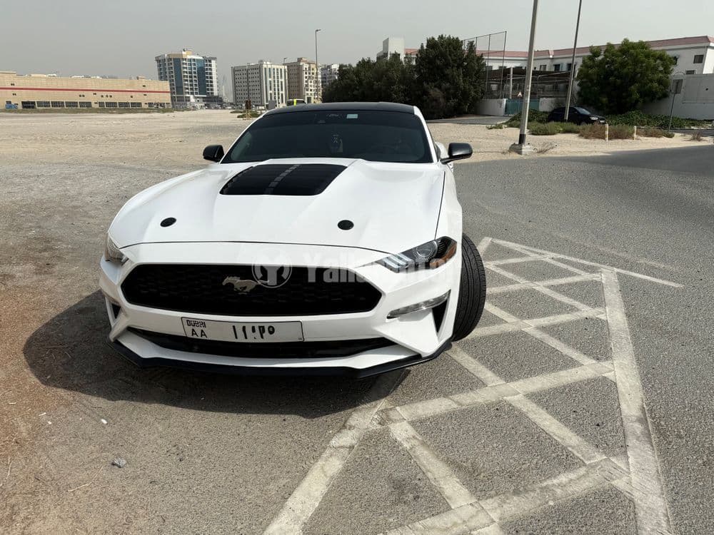 Used Ford Mustang 2.3L EcoBoost Coupe 2022