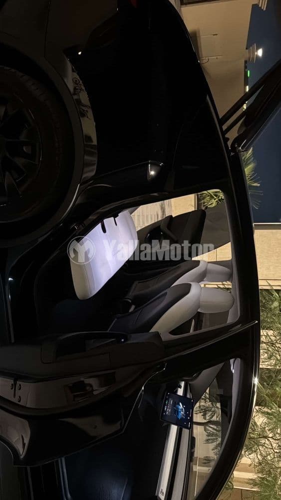 Used Tesla Model Y Long Range (AWD) 2023