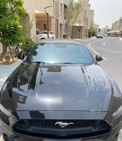 فورد جي تي 2016 مستعملة فورد جي تي 2016 مستعملة used_cars.forSale
