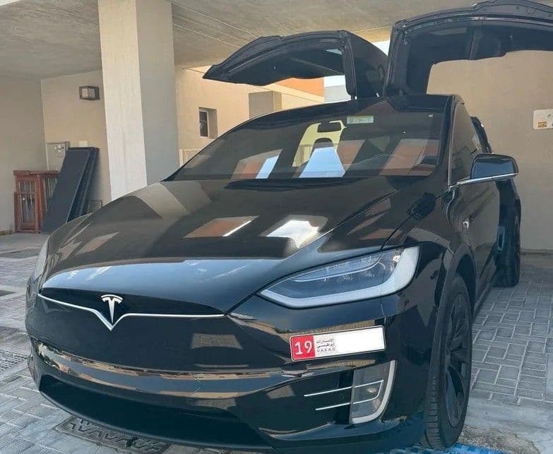 Used Tesla Model X 100D 2019