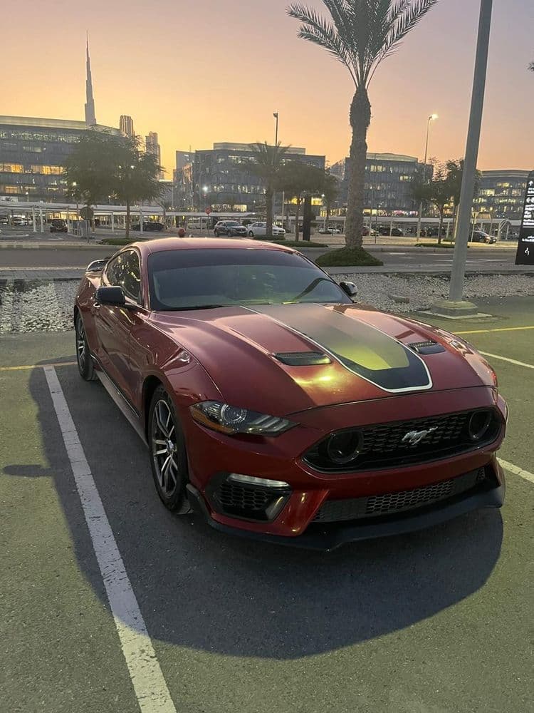 مستعملة فورد موستانج 2.3L إيكوبووست كوبيه 2017