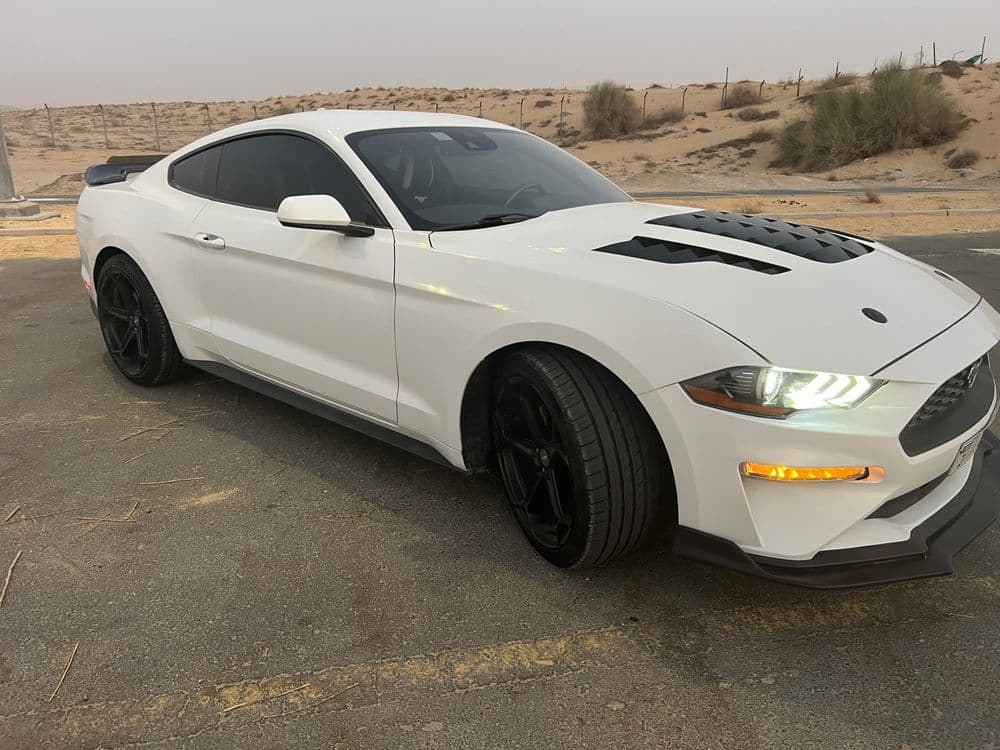 Used Ford Mustang 2.3L EcoBoost Coupe 2022