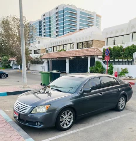 Used Toyota Avalon 3.5 Limited 2008