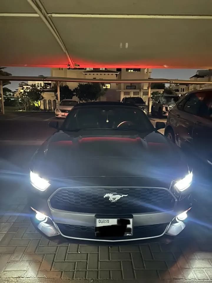 Used Ford Mustang 2.3L EcoBoost Convertible 2017